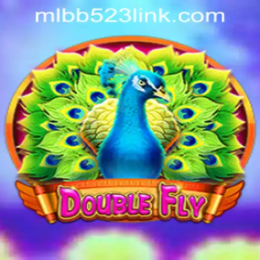 Exploring DoubleFly: Game Description, Introduction, and Rules